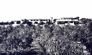 CO ha- 275- Ain el turck 